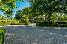 Enlarge photo 84