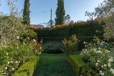 Enlarge photo 73