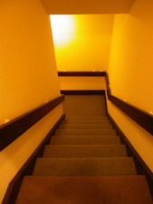 Enlarge photo 52