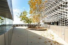 Enlarge photo 46