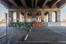 Enlarge photo 103
