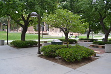 Enlarge photo 22