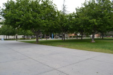 Enlarge photo 29