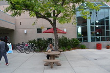 Enlarge photo 47