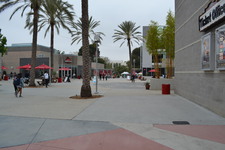 Enlarge photo 65