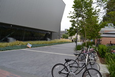 Enlarge photo 75
