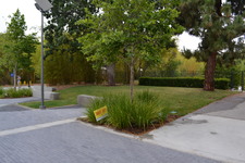 Enlarge photo 77