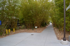 Enlarge photo 78
