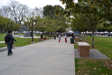 Enlarge photo 80