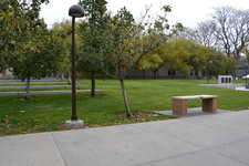 Enlarge photo 81