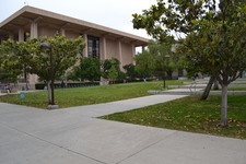 Enlarge photo 82