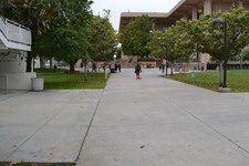 Enlarge photo 83