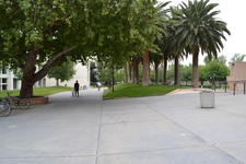 Enlarge photo 84