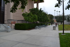 Enlarge photo 88