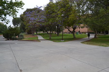 Enlarge photo 92