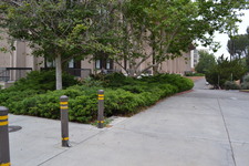 Enlarge photo 93