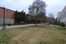 Enlarge photo 94