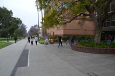 Enlarge photo 99