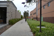 Enlarge photo 102