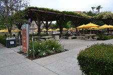 Enlarge photo 104