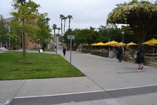 Enlarge photo 105