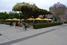 Enlarge photo 106