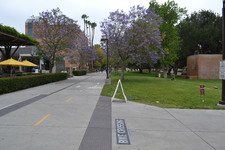 Enlarge photo 107