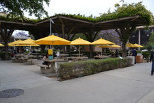 Enlarge photo 110