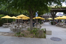 Enlarge photo 111