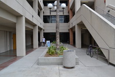 Enlarge photo 116