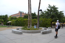 Enlarge photo 117