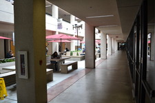 Enlarge photo 119