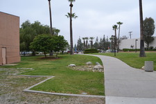 Enlarge photo 127