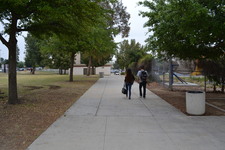 Enlarge photo 134