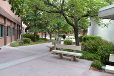 Enlarge photo 156