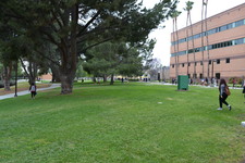 Enlarge photo 158