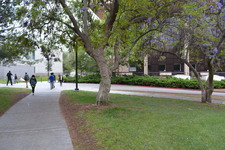 Enlarge photo 160
