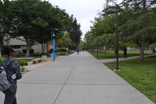 Enlarge photo 161