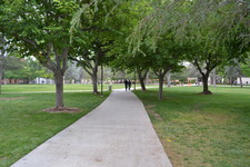 Enlarge photo 162