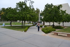 Enlarge photo 163