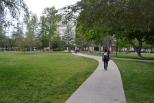 Enlarge photo 164