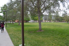 Enlarge photo 165