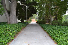 Enlarge photo 168