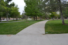 Enlarge photo 169