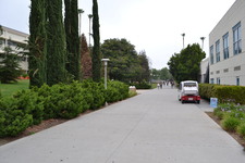 Enlarge photo 170