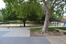 Enlarge photo 175