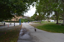 Enlarge photo 177
