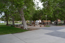 Enlarge photo 178