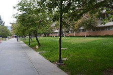 Enlarge photo 215