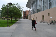 Enlarge photo 216